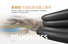 科技立异为依托”定